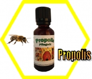 Propolis Öl 50 ml